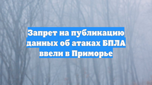 Запрет на публикацию данных об атаках БПЛА ввели в Приморье