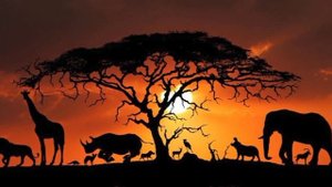 Video 20251101-05.mp4