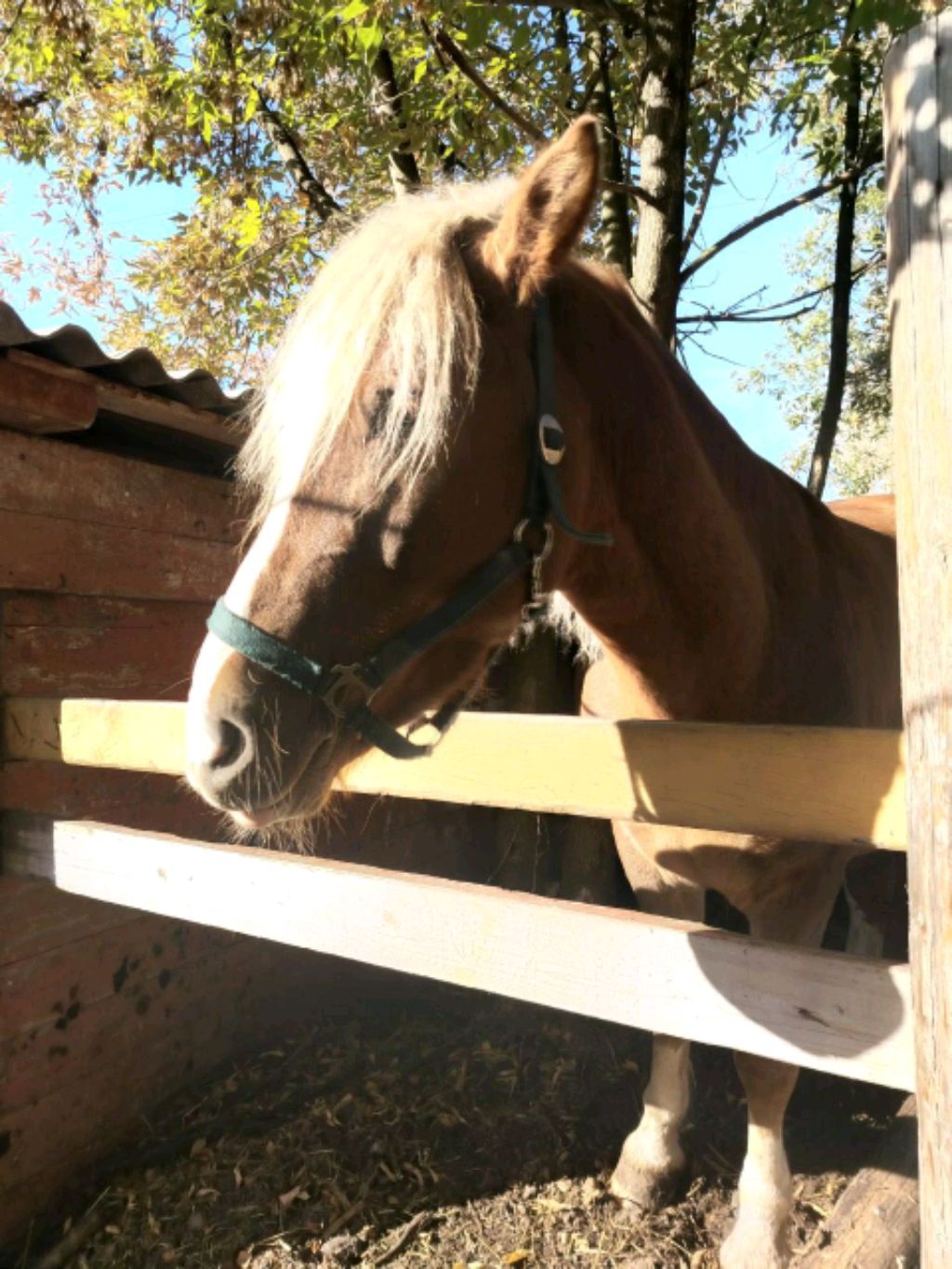 вернулась смотреть онлайн