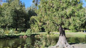 Шуваловский парк (Озёра)