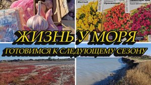 ЖИЗНЬ У МОРЯ, ПОСАДИЛА ЧЕСНОК, ГОТОВИМСЯ К СЛЕДУЮЩЕМУ СЕЗОНУ