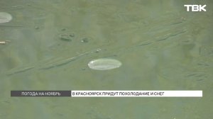 Ветер, дожди и гололедица: прогноз погоды на ноябрь в Красноярске