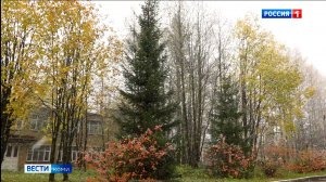 Какая погода ждет жителей Коми в ноябре