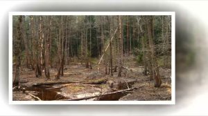 Moments Of Life 232 (Psy Dub Mix)