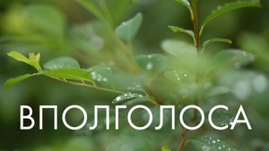 Сны ветвей | Вполголоса