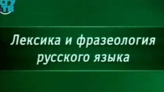 Лексика # 3. Понятие о лексической омонимии. Использование омонимов в литературе. Паронимия