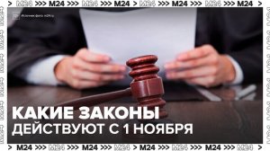 Россиянам рассказали, какие законы начали действовать с 1 ноября - Москва 24