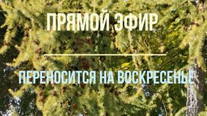 Эфир переносится на воскресенье