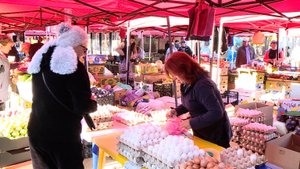 Сотрудники «Севветцентра» проверили одну из ярмарок выходного дня