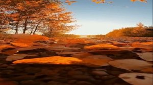 Ж.Бичевская - Осень Музыканта.