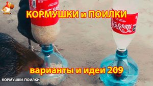 Кормушки и поилки для кур своими руками (209) 🪚✂️ Пошаговая инструкция как сделать 🐔 🐓❣️