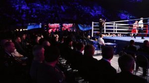 Всероссийский чемпионат по боксу среди команд системы МВД России завершился в Челябинске