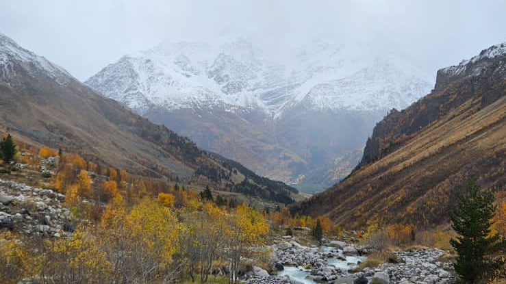 Листья жгут  М.Боярский