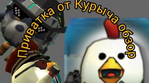 Приватка от Курыча обзор