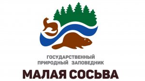 Гоголиная жизнь @заповедник "Малая Сосьва", Вахитов Л.А., 2025