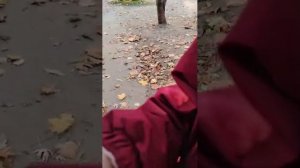 Нам очень страшно, мы бегаем от какого-то аута