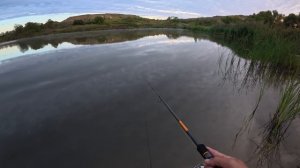 Хорошо с другом половили судака! Опробовал новый спиннинг и катушку.