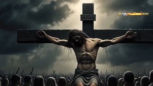 LIVE Видео авторские видео клипы автор Николай Брандуков