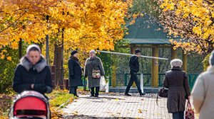 Россияне вернутся в бабье лето