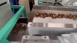 Линия лущения и сортировки грецкого ореха, модель HT-5