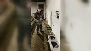 Говорят, что в деревне жизнь течет тихо и размеренно