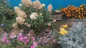 17.09. Ангел. Прогулка. И лееен......