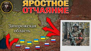 Массированный Удар Беспилотниками. Провальный Контрудар у Покровска. Военные Сводки 1 ноября 2025