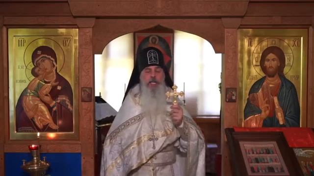 О совести и отсеивании - Проповедь отца Гавриила. смотреть онлайн