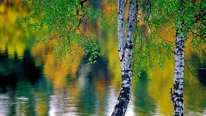 Божья благодать