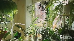 👀Закрепляем ампель без сверления: делюсь своим способом.🌸