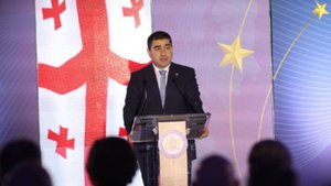 Папуашвили: Грузия больше не будет участвовать в заседаниях "Евронеста"