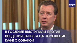 В Госдуме выступили против введения запрета на посещение кафе с собакой