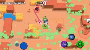 1 честь бравалстар