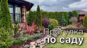 Обзор растений | Прогулка по саду | Хвойные Многолетники Кустарники Деревья Октябрь’25