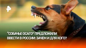 В России предложили ввести собачье ОСАГО