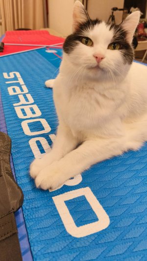 Новый SUP Starboard Touring L Deluxe 14.0х32х6 S25 (модель 2025г.) Часть 1