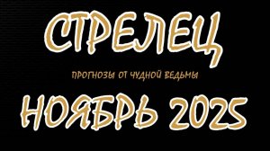 Стрелец. Ноябрь 2025. Прогноз