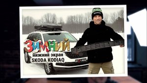 Зимний нижний экран SKODA KODIAQ