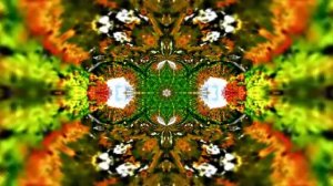 Футажи! Футаж Осенняя волшебная сказка 17! Осеннее волшебство!