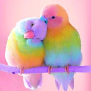 обзор на мой вечер и домик