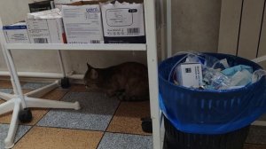 У нас пополнение 🤗