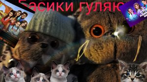 Жужик гуляет с новым другом💟💟💟