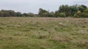 Гуляем по берегу реки Клязьма недалеко от моста на против спасателей