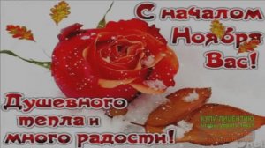 С ДОБРЫМ УТРОМ, НОЯБРЬ!