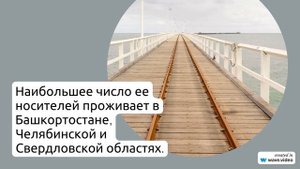 Фамилия Анзимиров: всё, что вам нужно знать о происхождении, значении и склонении этой уникальной
