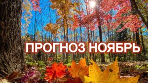 ПРОГНОЗ НОЯБРЯ: внеплановый переполох.