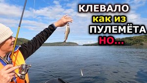 Рыбалка на хариуса. Осенняя рыбалка, закрытие сезона с друзьями