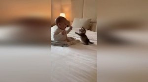 Собака - друг человека, а кот вообще - брат!))