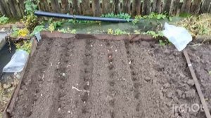 28.10.25. Осенняя меланхолия.