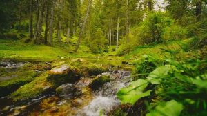 The murmur of a stream and the singing of birds .